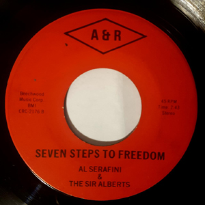 Al serafini seven steps to freedom